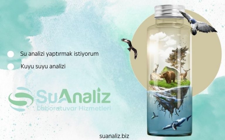 Kuyu Suyu Analizi Nasıl Yapılır? Detaylı Bir Rehber