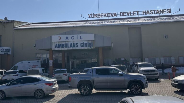 Sokak köpeklerinin saldırısı sonucu hayatını kaybeden bir çocukla ilgili olarak müfettiş görevlendirildi.